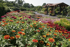 Kemper Center