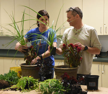 container gardening program
