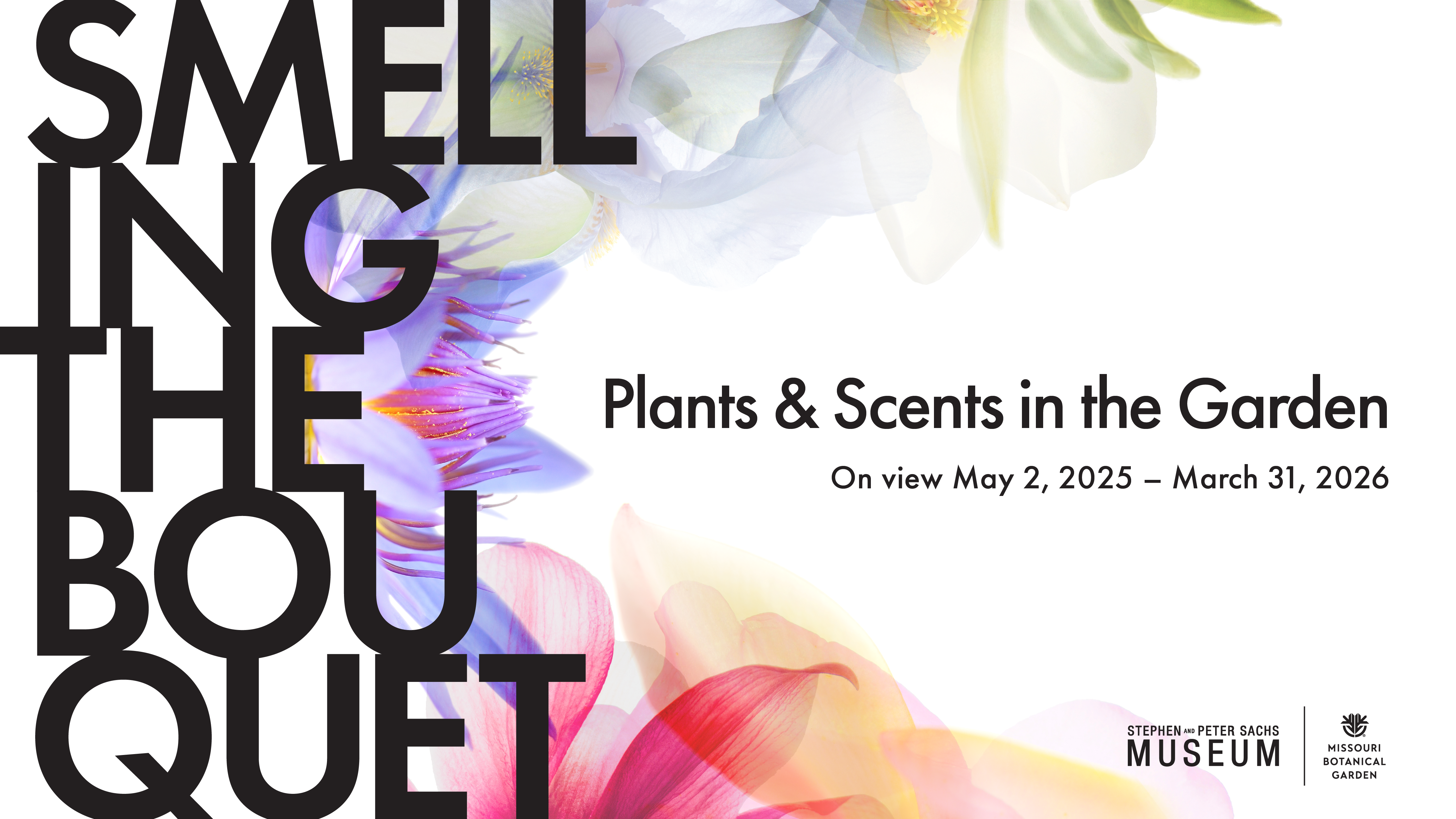 Smelling the Bouquet: Plants & Scents in the Garden
